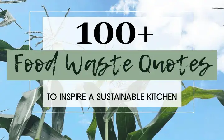 100+ Food Waste Quotes to Inspire A Sustainable Kitchen! - No