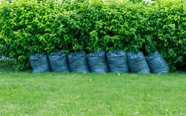 Large overflowing black trash bags full of raked up dry tree