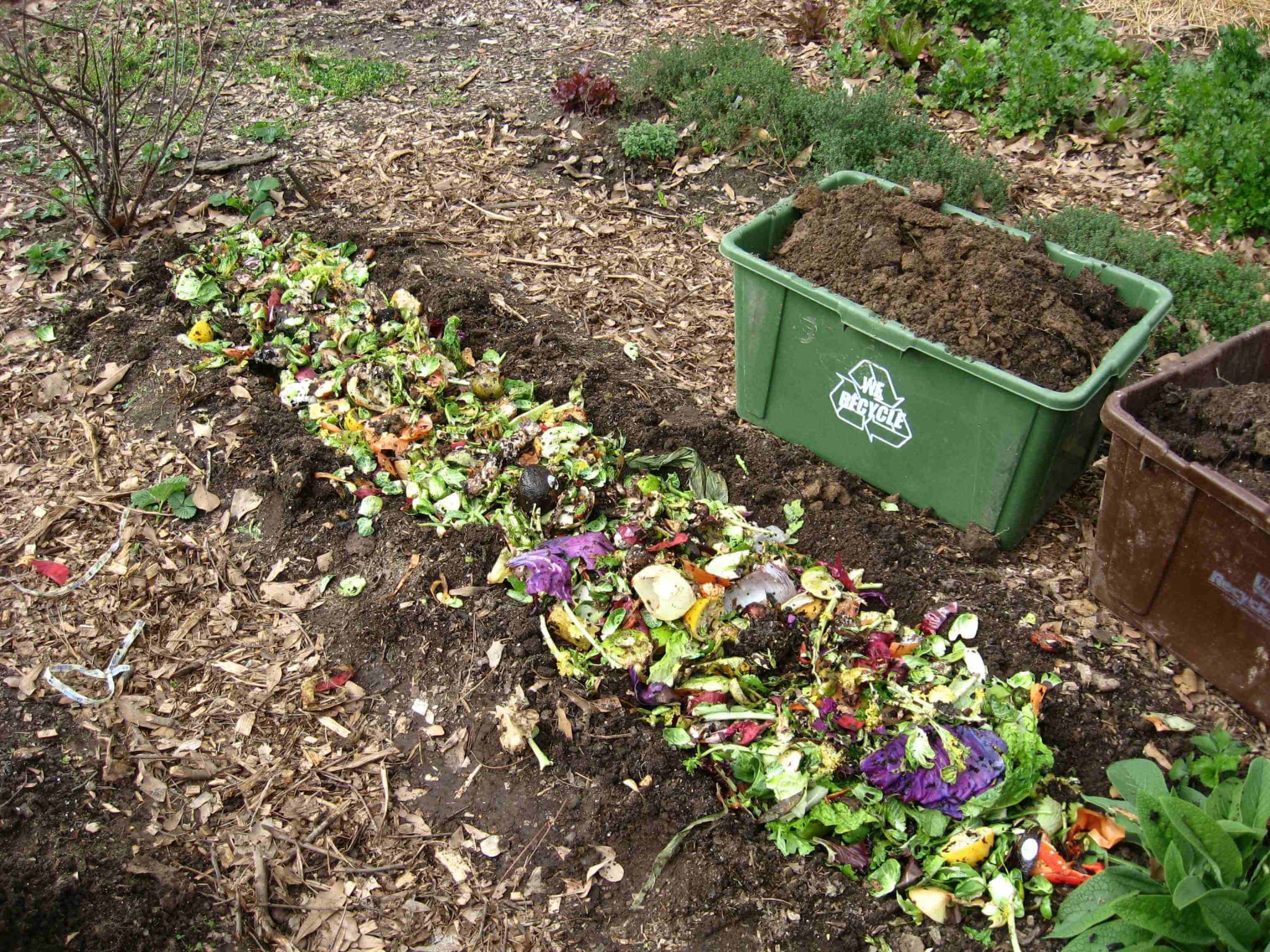 16 Methods Of Composting (For Any Budget Or Space) - No Waste Nutrition