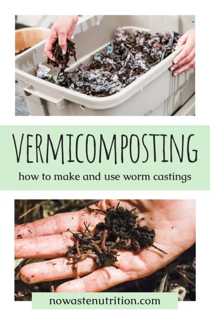 how to make and use worm castings with vermicompost