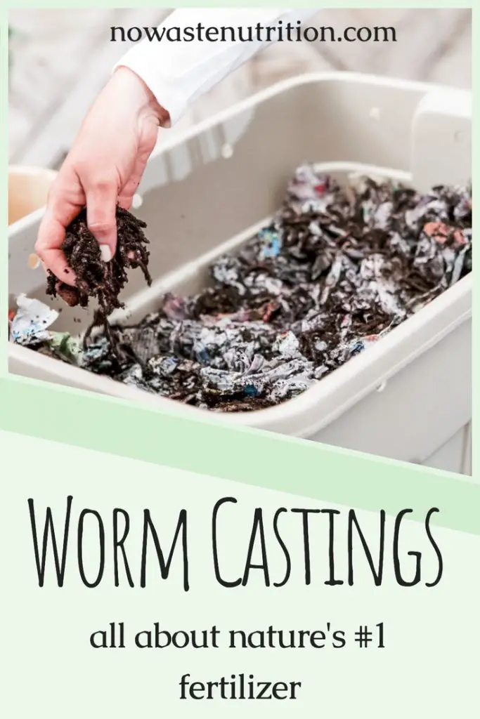 download worm castings how to use