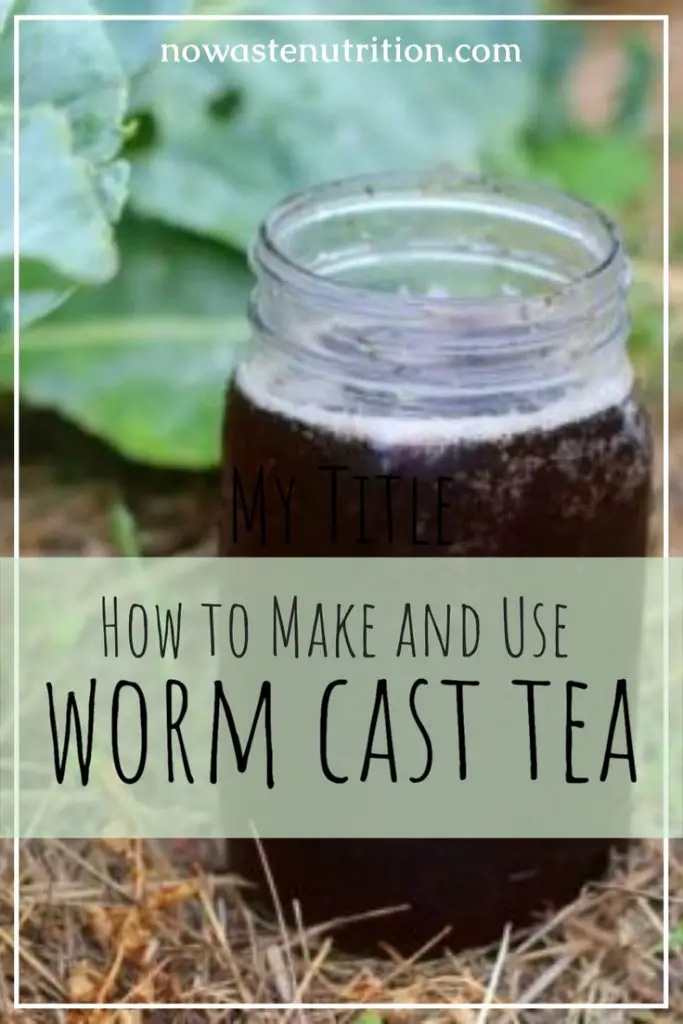 worm tea