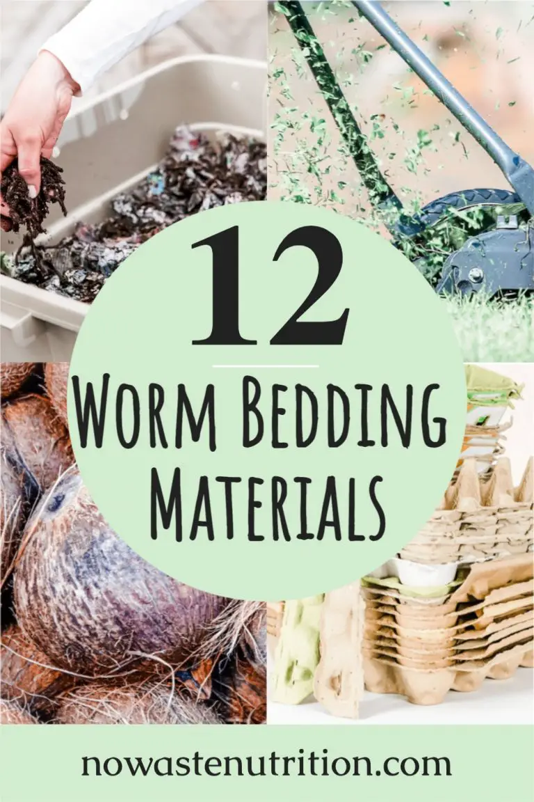 12 Cheap and Easy Worm Bedding Options No Waste Nutrition