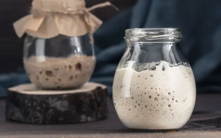 recipes for sourdough starter discard