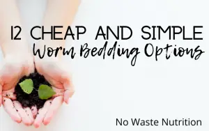 12 options for worm bedding material
